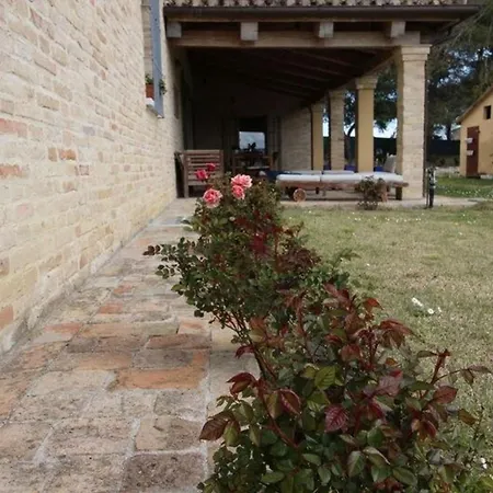 Dom wakacyjny Ferienhaus Mit Privatpool Fuer 10 Personen Ca 500 Qm In Candelara, Adriakueste Italien Und Umgebung *